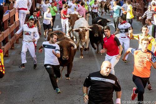 трка со бикови во сан себастијан Шпанија 
