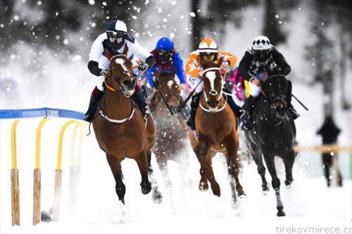 во сент мориц, Швајцарија коњски трки на снег