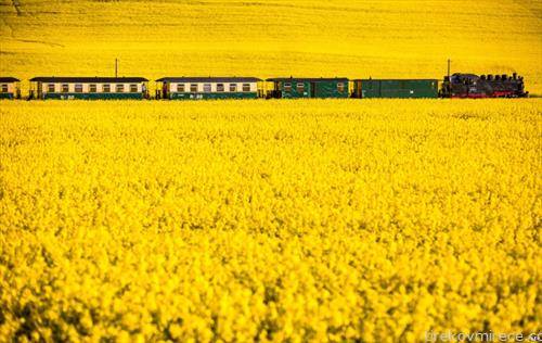 воз на парна локомотива на туристичко патување во северна Германија
