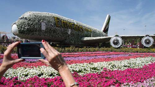 со 500 илјади цвеќиња создаден авион во Дубаи