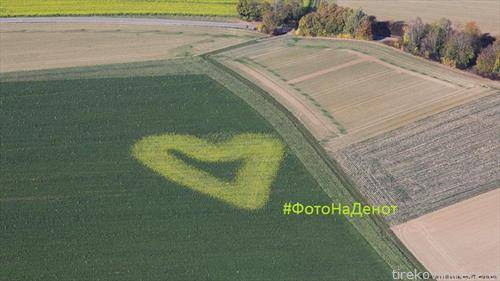 Срце од жолта маслодајна репка среде зелена нива  на земјоделецот во Дирнау, во германската покраина Баден Виртемберг