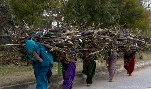 пакистански жени носат дрва за готвење