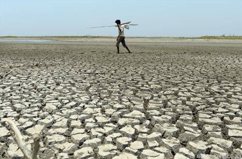 поле жедно за вода во Индија