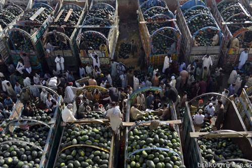 започна сезоната на продажба на лубеници во Лахоре Пакисатан