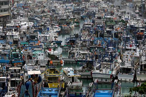 Рибарски бродови всидрени еден до друг на безбедно во пристаништето додека тајфунот Малакас минува низ Тајван