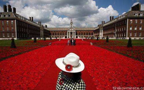 градина со 5 илјади рози во Лондон