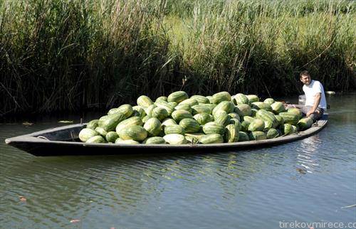 се продаваат лубеници по течението на река Неретва Херцеговина
