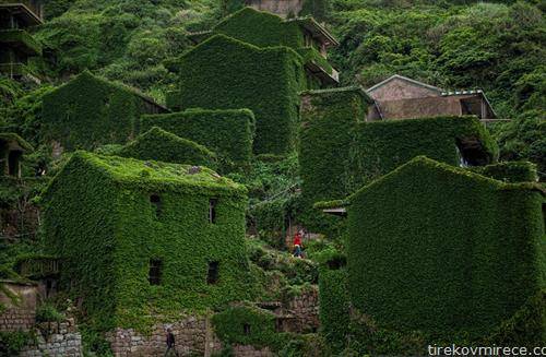 село во Кина,а чии куќи се обраснати во зеленило