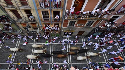 трка со бикови по улиците на Памплона, Шпанија