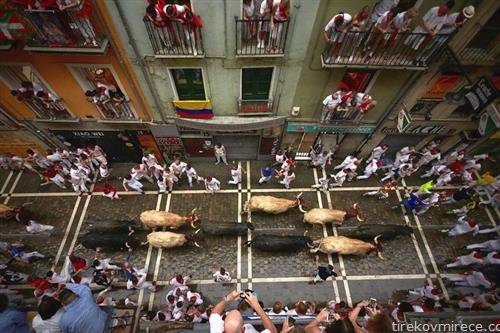 трка со бикови по улиците на Памплона Шпанија