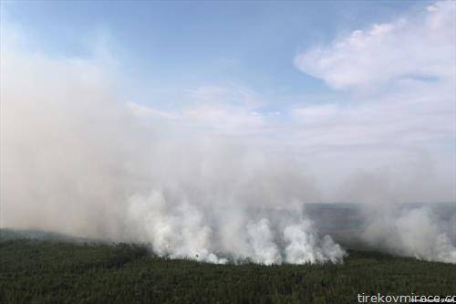 Гринпис соопшти дека облаците чад од катастрофалниот пожар во Сибир покриваат над 5 милиони км2 што е повеќе од големината на ЕУ. над 50 мегатони чад беа ослободени во јуни и 79 милиони во јули.