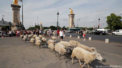 овци  низ Париз  како уметничка инсталација