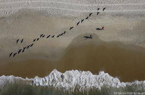 рибар, птици во лет, плажа во Рио