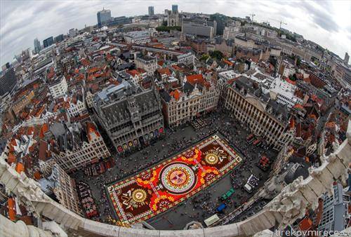 цветен тепих во Брисел со 500 илјади цветови