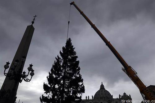 божикното дрво се поставува во Ватикан