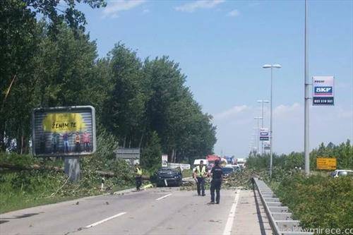 жена почина, откако во нејзиниот автомобил удри дрво. Во Нови Сад