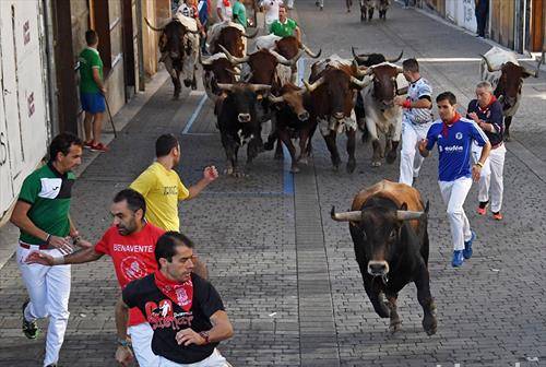 трка со бикови по улиците на валенсија 