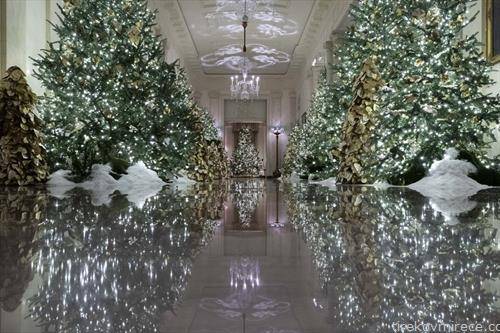 новогодишно украсена Белата куќа, ја краселе  225 волонтери