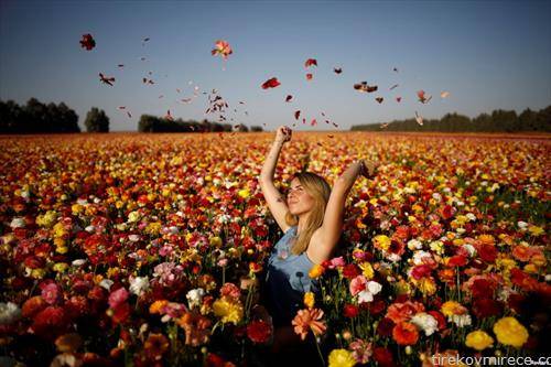 девојка во поле од цвеќиња, Израел 