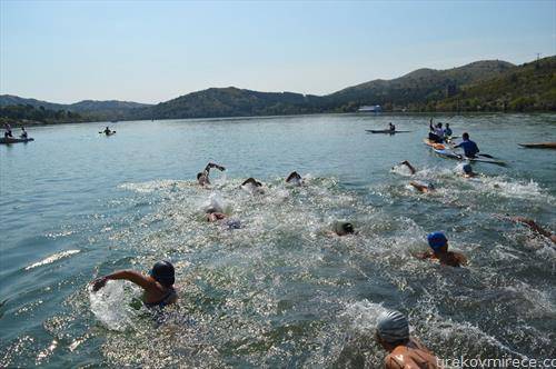 На езеро Младост се одржа Куп во далечинско пливање