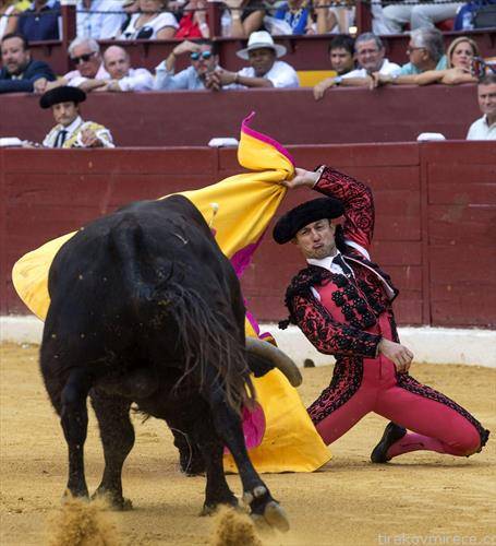 Шпанскиот тореадор Рафаелило се бори со бик на панаѓурот Мурсија 