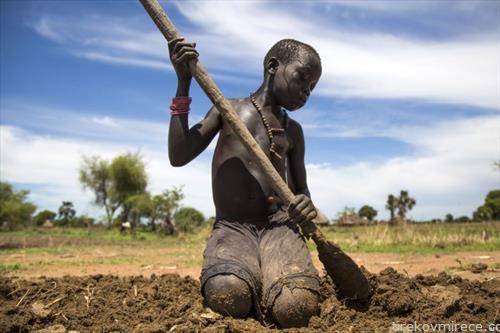 дете од Јужен Судан ја подготвува земјата за посадување, оти се судруваат со недостиг на  храна