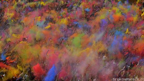 фестивал на боите во Барселона