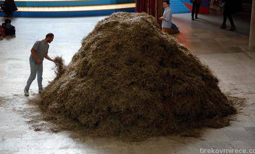 уметничка инсталација на италијански автор во париски музеј, се бара игла во сеното