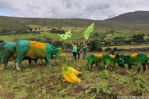 животинска фарма во ирска пред тамошното фудбалско финале