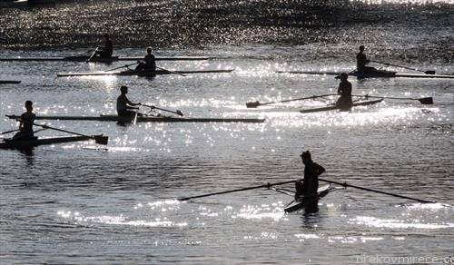 веслачи  тренираат на канал близу Хамбург