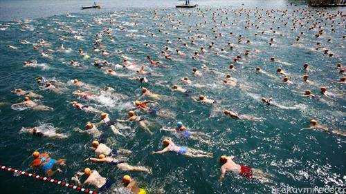пливачки настан на циришкото езеро во Швајцарија