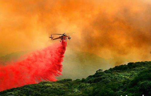 Шумски пожари беснеат во Калифорнија