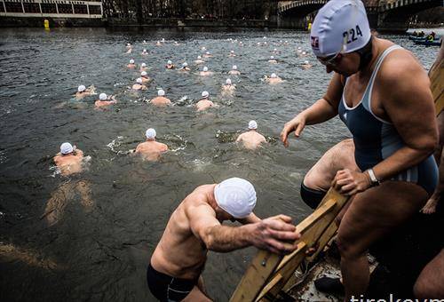 Пливачи се симнуваат по скала во реката Влтва за традиционалниот Божикен зимски натпревар во пливање во Прага