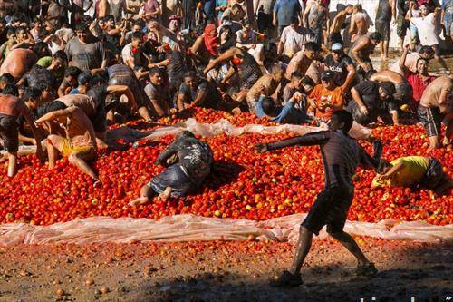  летен фестивал на мавање со домати, во Чиле