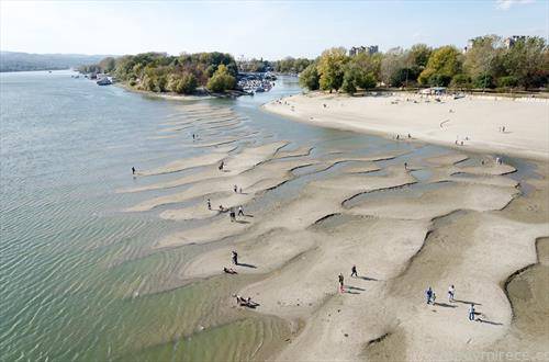 Есенва реката Дунав во Хрватска и Србија бележи рекордно низок водостој