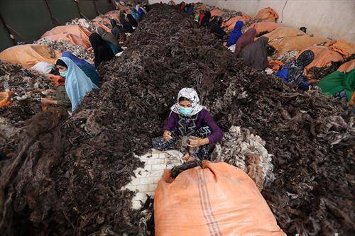 Жени одвојуваат крзно од козји влакна во фабрика во Авганистан