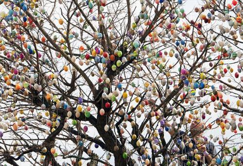 по една недела работа Германецот Уве Герстѕенгерг го украси ова дрво со 10 илјади велигденски јајца во Салфелд