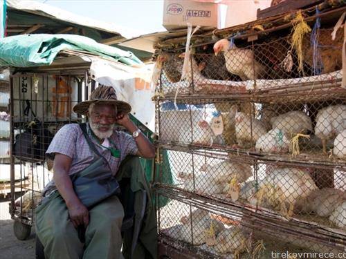 кокошки се продаваат во Јужна Африка на улица