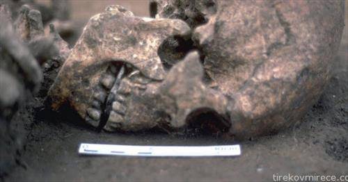 8. Скелет пронајден во Англија